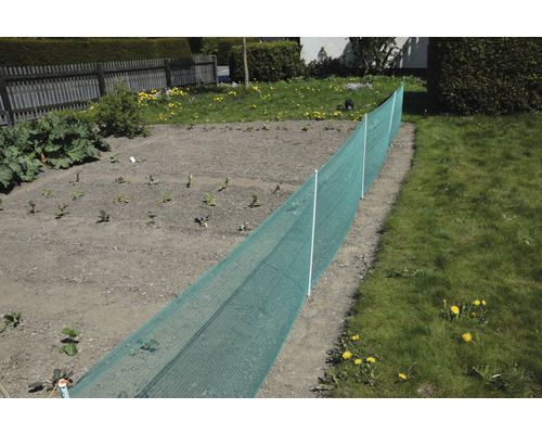 Gemüsegarten mit Schutznetz gegen Schädlinge