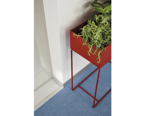 Jardinière rouge avec cadre en métal et plante verte sur tapis bleu