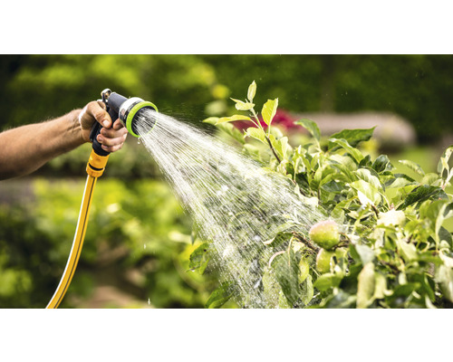 Une personne arrose un arbre avec un tuyau d'arrosage