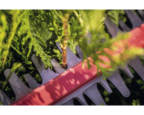 Gros plan d''un taille-haie coupant des haies