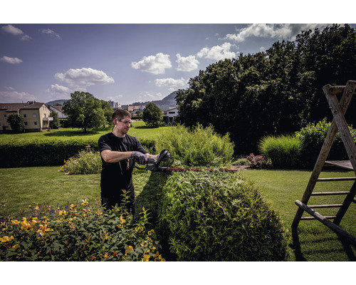 Un homme taille une haie dans le jardin avec un taille-haie.