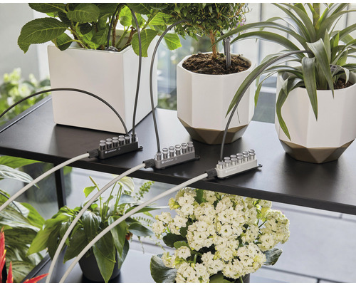 Système Gardena Micro-Drip pour arroser les plantes en pot sur une étagère