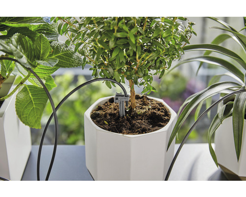 Système d''arrosage pour plantes en pot dans un pot blanc octogonal