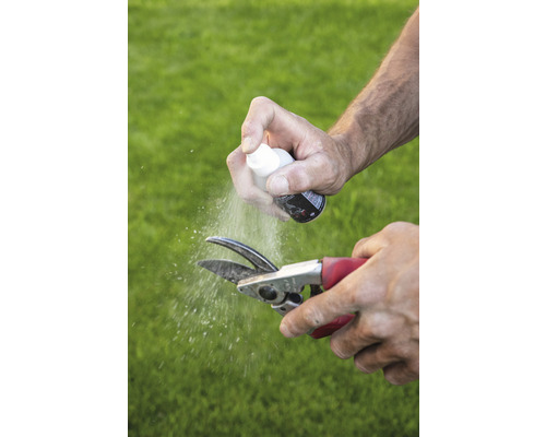Un sécateur est nettoyé avec un spray de nettoyage.