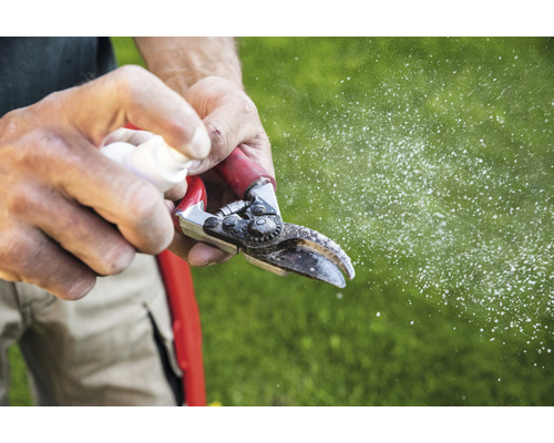 Entretien du jardin: Une personne nettoie un sécateur avec un flacon pulvérisateur