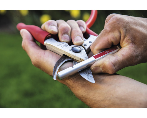 Un sécateur est affûté avec un outil d''affûtage.