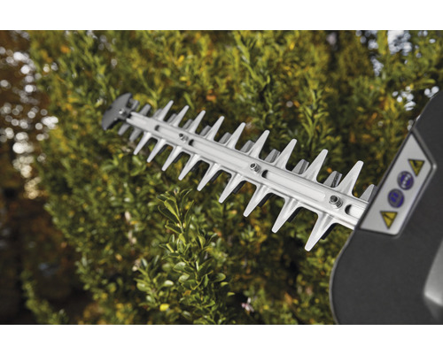 Dispositif de coupe d''un taille-haie en utilisation devant une haie.