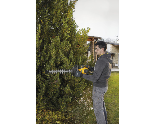 Un homme coupe une haie avec un taille-haie dans le jardin.