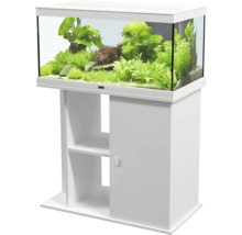 Aquarium mit Unterschrank und Bepflanzung