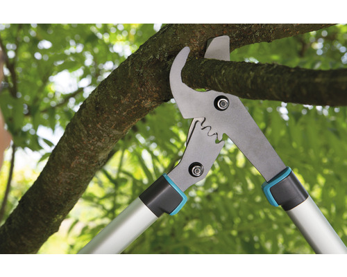 Astschere schneidet einen Ast