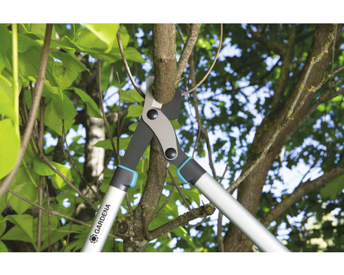 Astschere beim Schneiden eines Astes