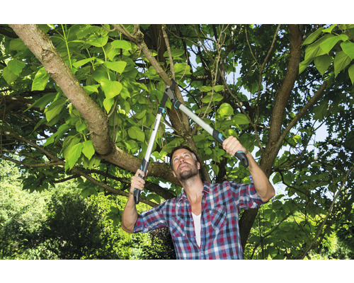 Mann schneidet Baumäste mit einer Astschere