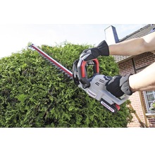 Eine Person schneidet eine Hecke mit einer Akku-Heckenschere von Pattfield.