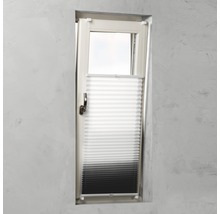 Plissee-Rollo am Fenster zur Lichtregulierung und zum Sichtschutz