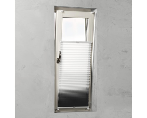 Plissee-Rollo am Fenster zur Lichtregulierung und zum Sichtschutz