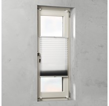 Plissee Rollo am Fenster zur Lichtregulierung