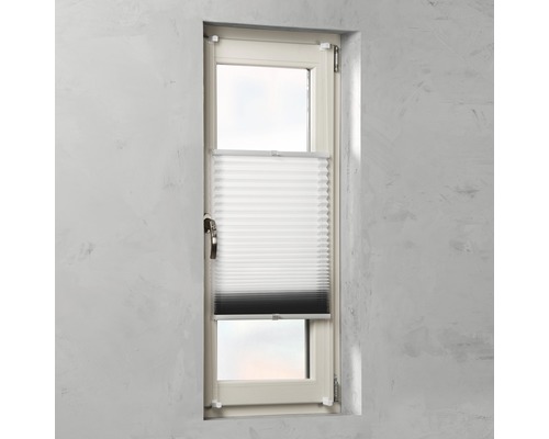Plissee Rollo am Fenster zur Lichtregulierung