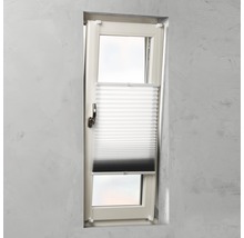 Fenster mit Plissee-Rollo zur Fensterdekoration und zum Sichtschutz