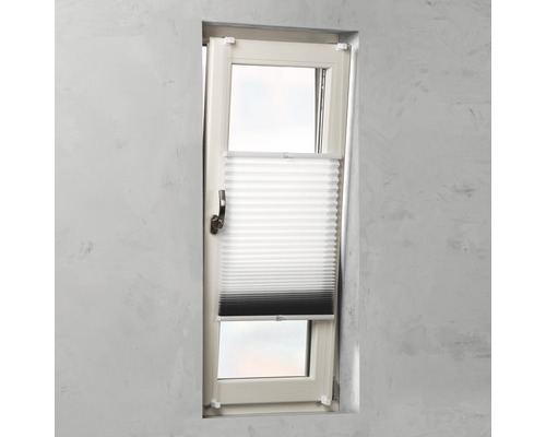 Fenster mit Plissee-Rollo zur Fensterdekoration und zum Sichtschutz