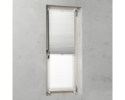 Fenêtre avec store plissé monté pour l''ombrage et l''intimité