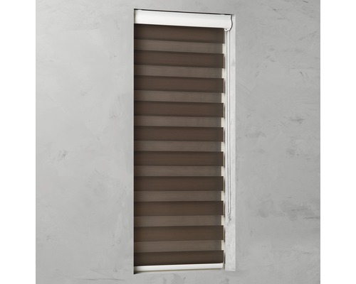 Fenster mit braunem Doppelrollo zur Lichtregulierung