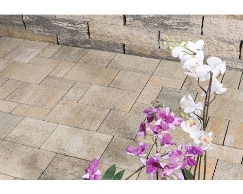 Extérieur avec pavés rectangulaires et maçonnerie