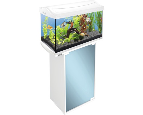 Aquarium complet avec meuble bas, planté et avec des poissons