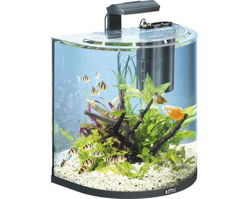 Aquarium Tetra AquaArt Explorer Line 60 l mit Beleuchtung, Heizer, Filter ohne Unterschrank schwarz