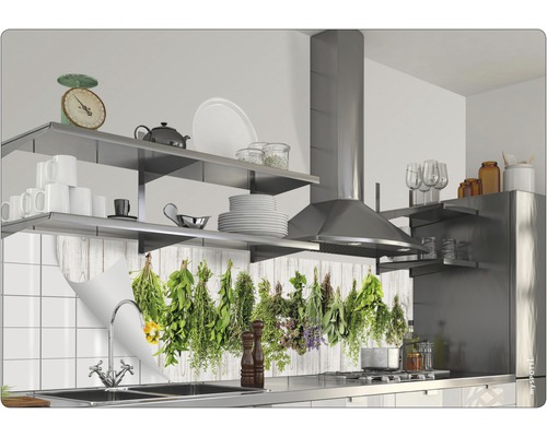 Scène de cuisine avec protection anti-éclaboussures à motif d''herbes aromatiques derrière l''évier