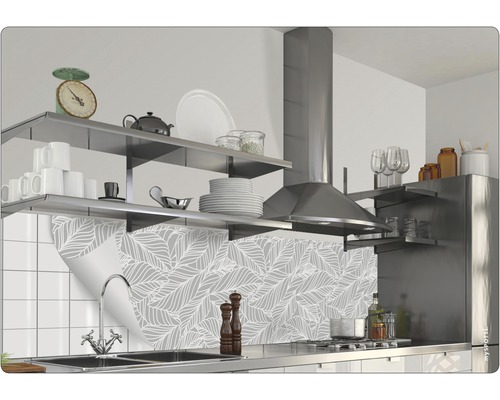 Scène de cuisine avec film de protection contre les éclaboussures, étagères et hotte aspirante.