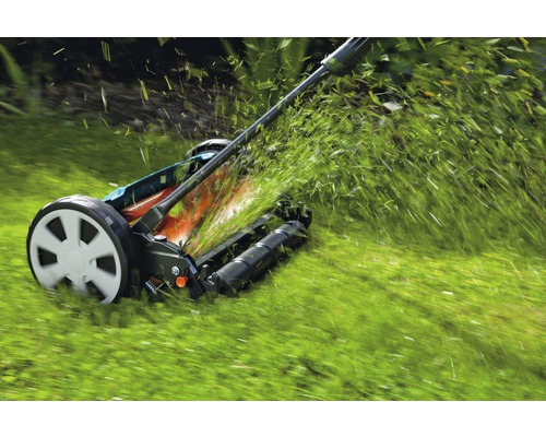 Tondeuse hélicoïdale coupant l''herbe