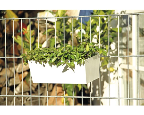 Rechteckiger Pflanzkasten mit Pflanzen am Zaun