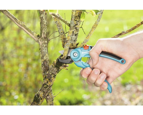 Eine Hand schneidet einen Ast mit einer Gardena Gartenschere.