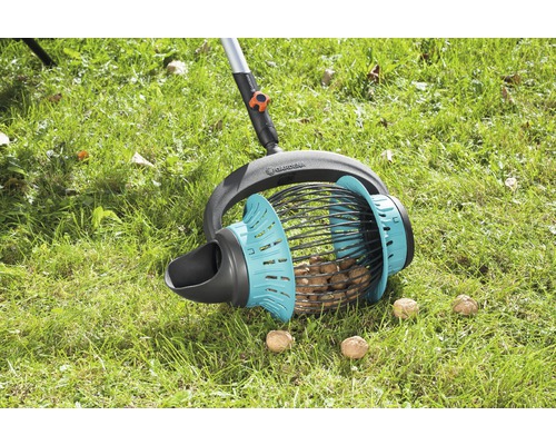 Walnussernte mit einem Walnuss-Sammler auf einer Wiese.