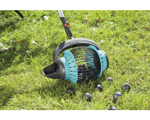 Gardena Obstsammler im Einsatz auf einer Rasenfläche mit Pflaumen.