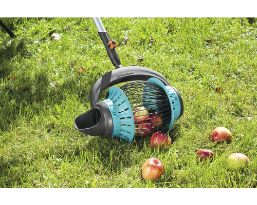Apfelpflücker zum Aufsammeln von Fallobst im Garten