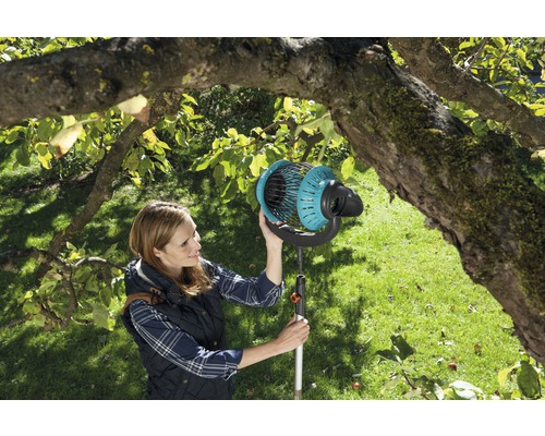 Frau erntet Äpfel mit einem Obstpflücker im Garten unter einem Baum