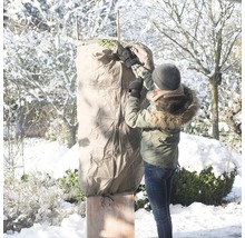Une femme fixe une housse de protection pour plantes sur une plante dans un jardin d''hiver.