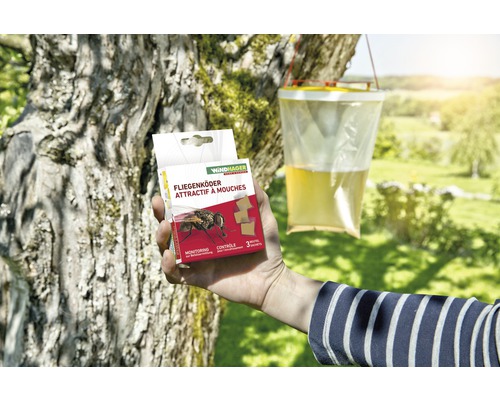 Windhager Fliegenköder Packung mit einer Fliegenfalle im Hintergrund