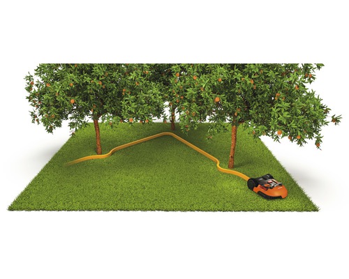 Scène avec robot tondeuse, câble périphérique et arbres fruitiers sur la pelouse