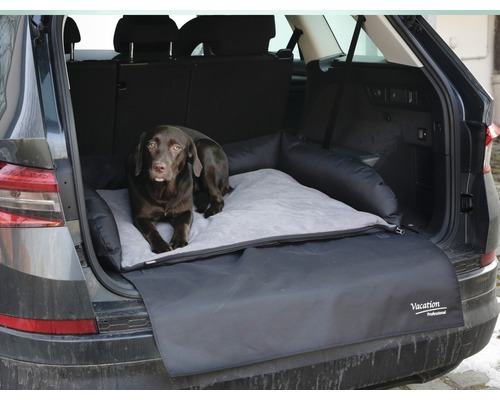 Chien dans le coffre sur un lit pour chien avec protection de coffre