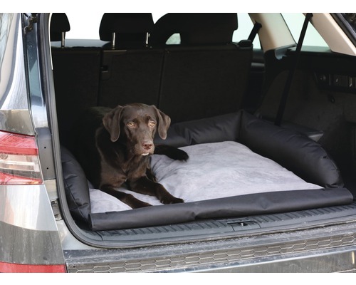 Un chien marron est allongé dans une protection de siège auto pour chien dans le coffre.