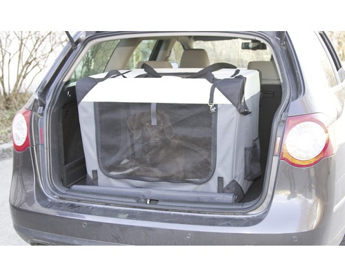 Chien dans une cage de transport dans le coffre