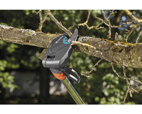 Gardena Astschneider schneidet einen Ast