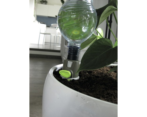 Automatische Pflanzenbewässerung mit Wasserflasche in weissem Blumentopf