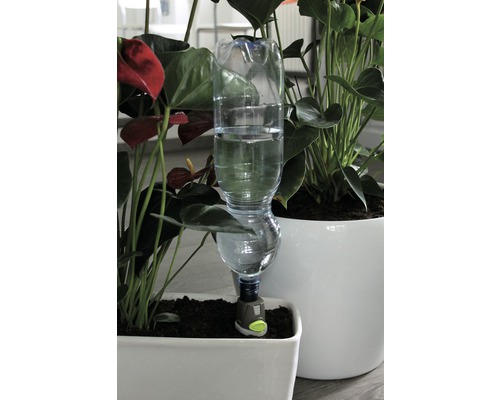 Automatische Bewässerung für Pflanzen mit Wasserflasche und Bewässerungsaufsatz