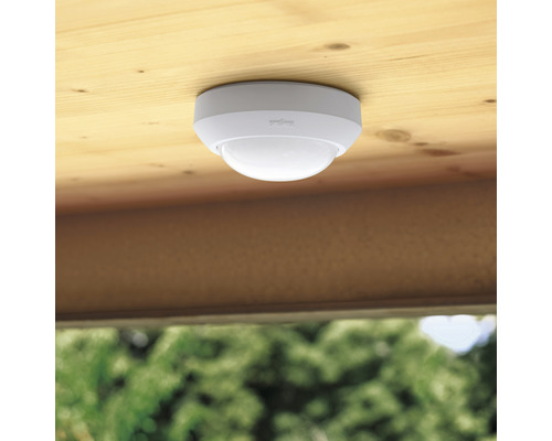 Détecteur de plafond pour la détection de mouvement sous un plafond en bois