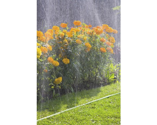 Bewässerung von Blumen mit einem Rasensprenger im Garten