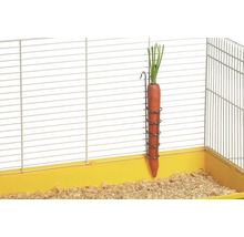 Karotte in Futterhalter im Käfig