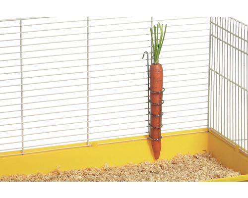 Karotte in Futterhalter im Käfig